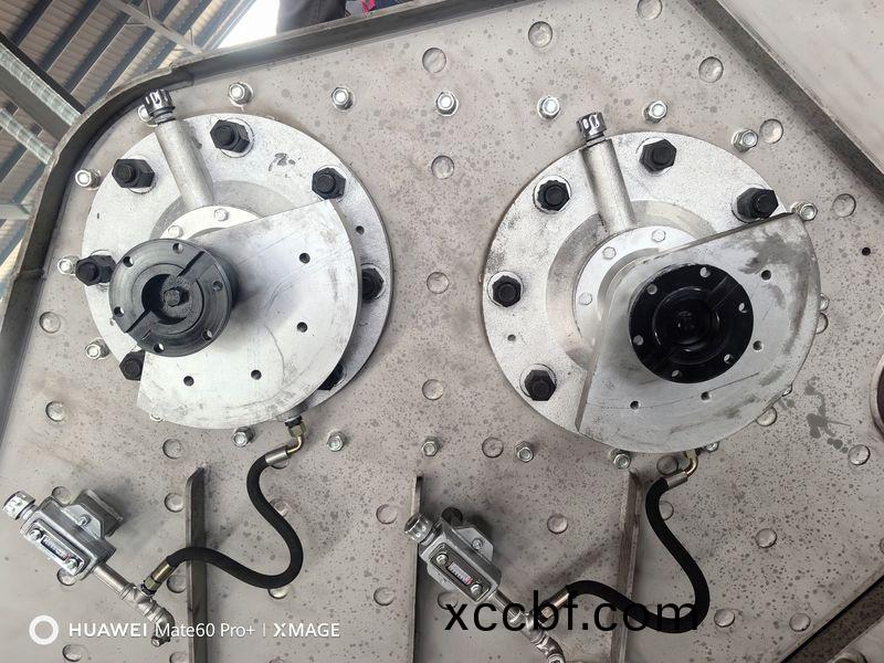 灋蘭式稀油激振器